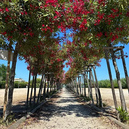 Beachside With Pool & Garden In Juan Les Pins Apartmán Antibes